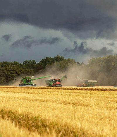 Agronexo: Impulsando la Innovación y Sostenibilidad en el Campo Colombiano a través de En-Campo