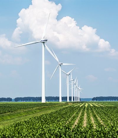 Bioestimulación en la Agricultura: Optimización del Crecimiento y Resistencia Vegetal con Agronexo