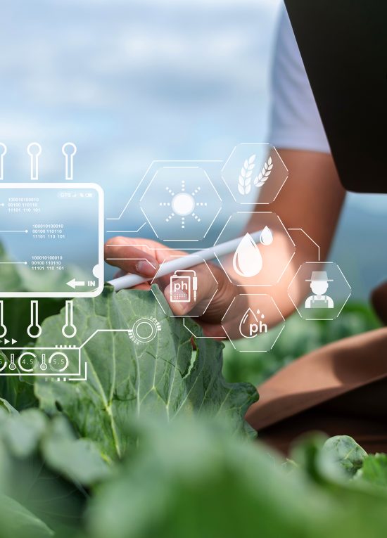 Agricultural technology farmer man using tablet computer analyzing data and morning image icon.