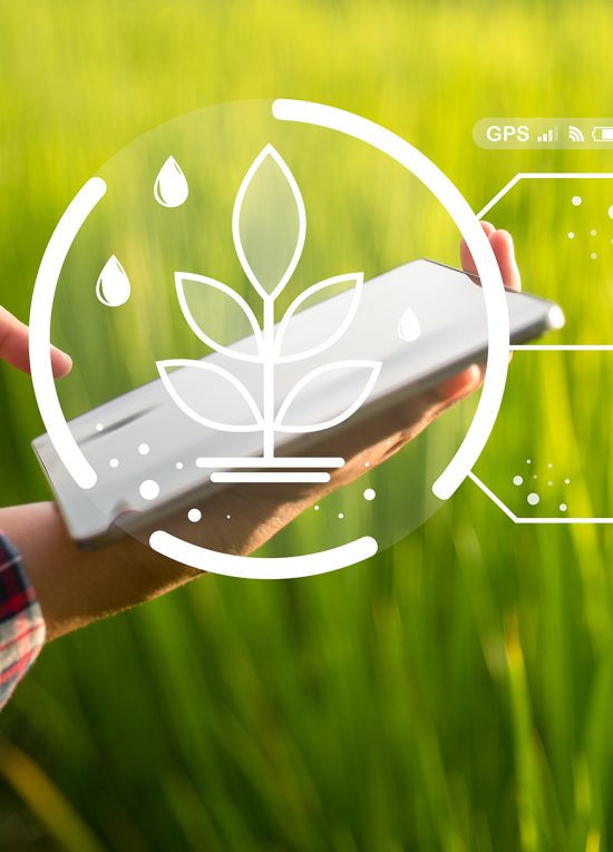 Agriculture technology farmer holding digital tablet or tablet technology to research about agriculture problems analysis data and visual icon. smart agriculture farmer using internet of things