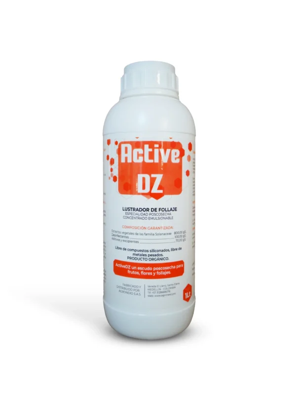 Active DZ