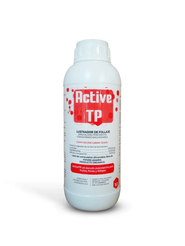 Active TP